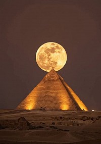 The 